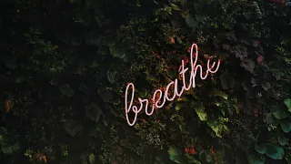 Pfingstmontag Tim Goedhart unsplash (Foto: Tim Goedhart unsplash) Pfingstmontag Tim Goedhart unsplash (Foto: Tim Goedhart unsplash)