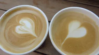 Kaffeetassen (Foto: Bea K&auml;nel)